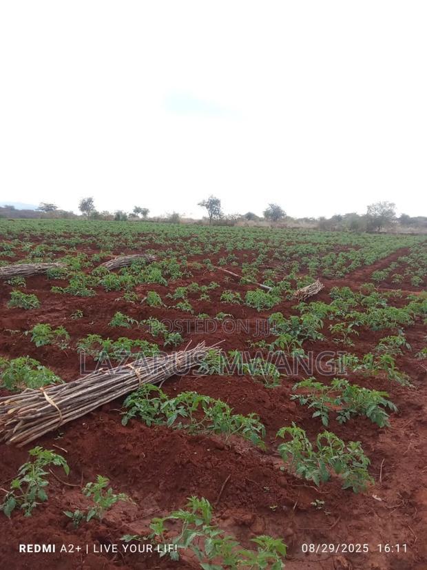 3 Acres of Fertile Land at Gitaraka Along R. Tana