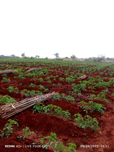 3 Acres of Fertile Land at Gitaraka Along R. Tana - Image 16
