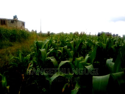 40x80 Plot Anmer Estate Kiambu - Image 1