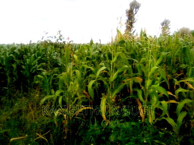 40x80 Plot Anmer Estate Kiambu - Image 5
