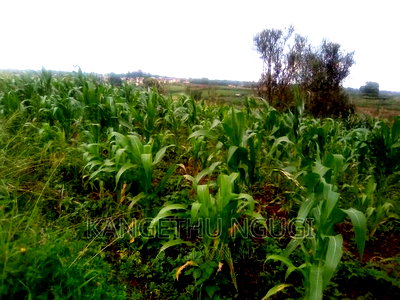 40x80 Plot Anmer Estate Kiambu - Image 4
