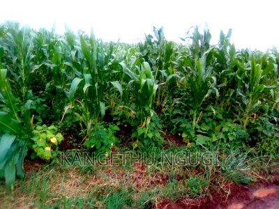 40x80 Plot Anmer Estate Kiambu - Image 2