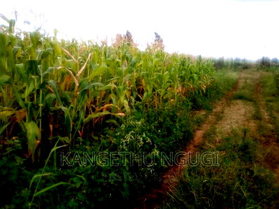 40x80 Plot Anmer Estate Kiambu - Image 7