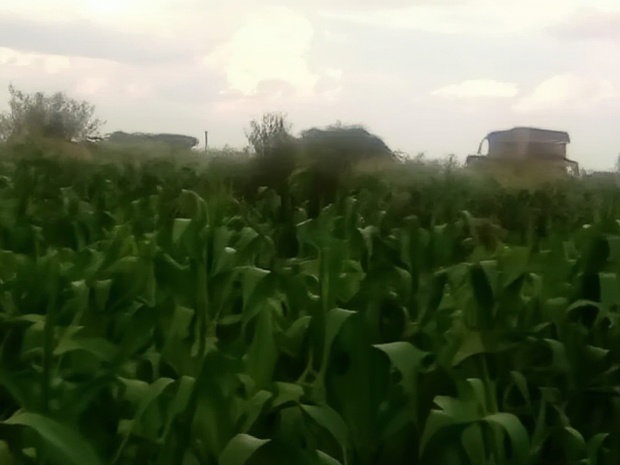 40x80 Plot Anmer Estate Kiambu