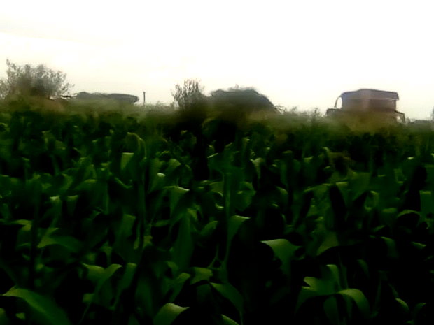 40x80 Plot Anmer Estate Kiambu