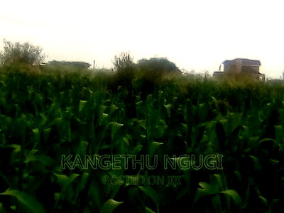 40x80 Plot Anmer Estate Kiambu - Image 3