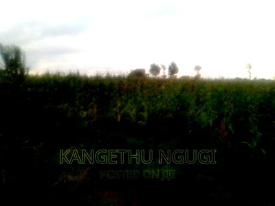 40x80 Plot Anmer Estate Kiambu - Image 6