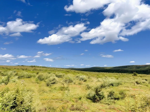 Land in Nachu Near Kikuyu SGR From as Low as