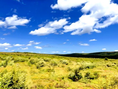 Land in Nachu Near Kikuyu SGR From as Low as