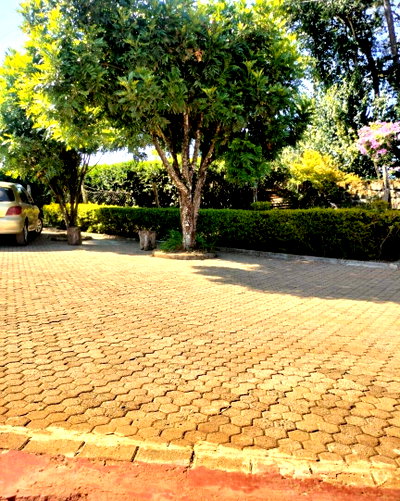 1.2-Acre Kilimani Gem at KSh 800M