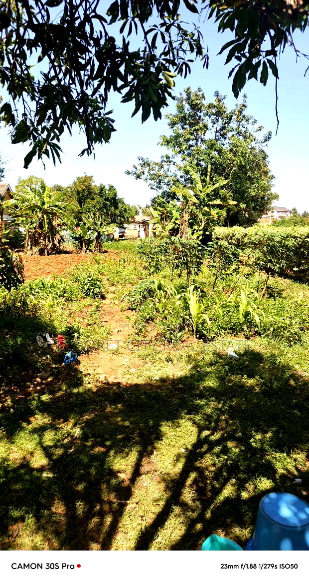 1/2 Acre Annex Mti Moja Touches Tarmac