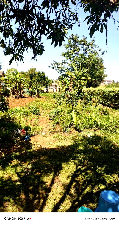 1/2 Acre Annex Mti Moja Touches Tarmac - Image 2