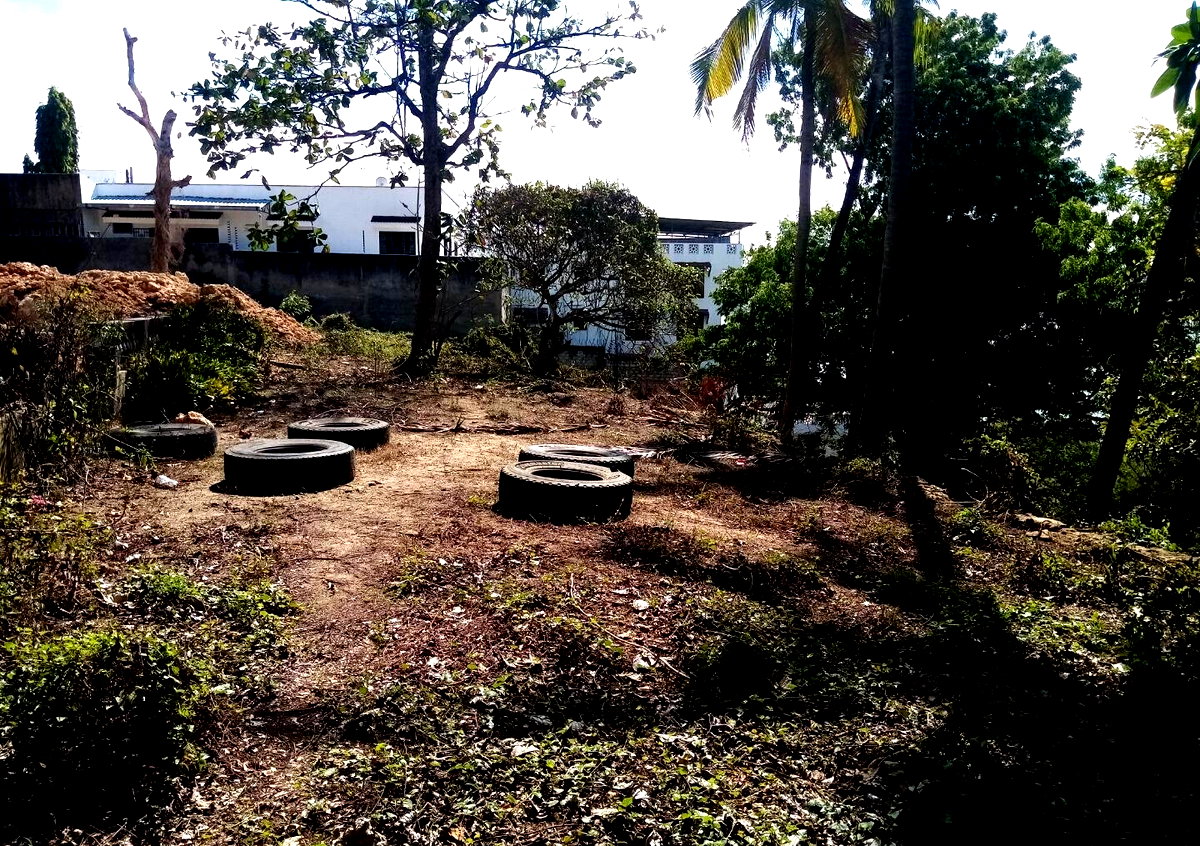 2-Acre Beach Land with Garden