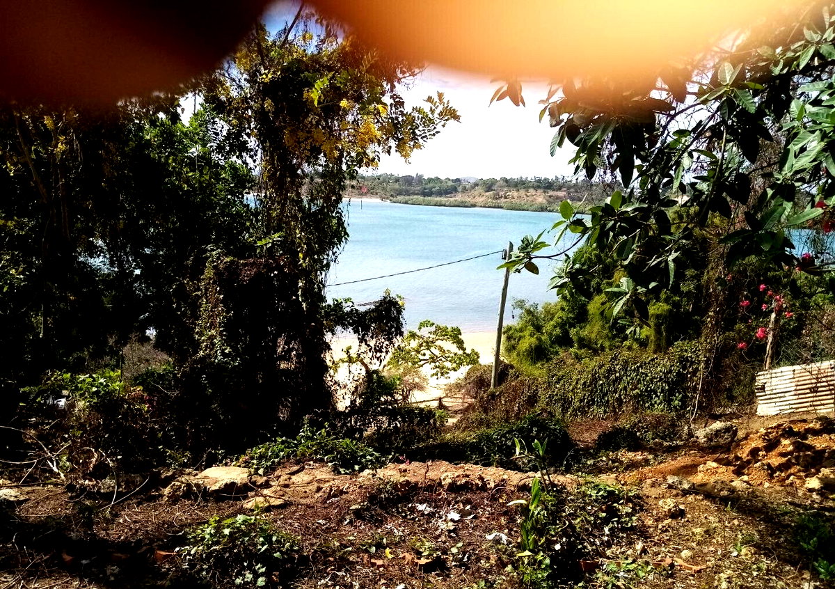 2-Acre Beach Land with Garden