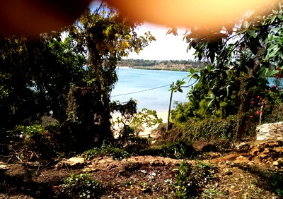2-Acre Beach Land with Garden