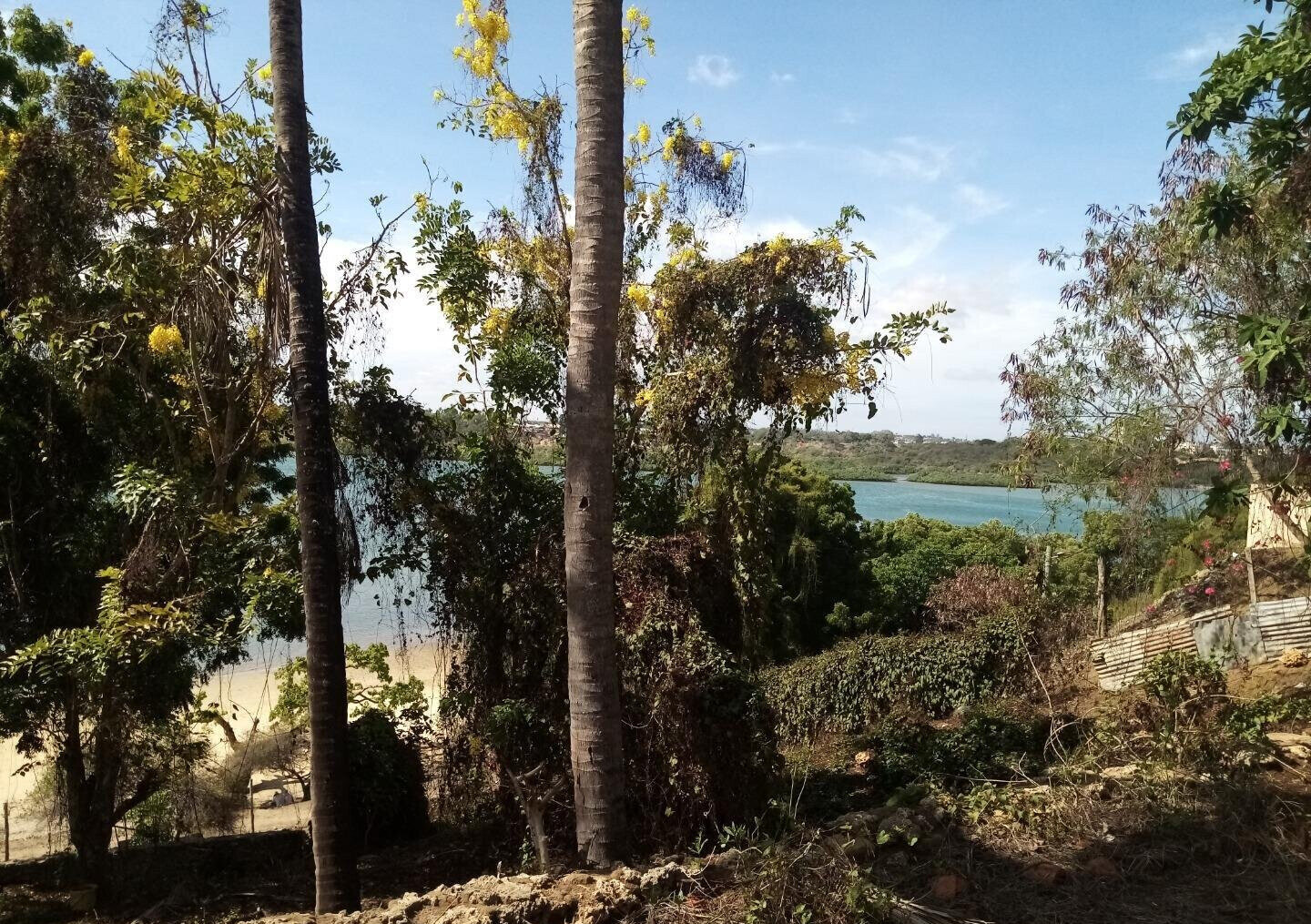 2-Acre Beach Land with Garden
