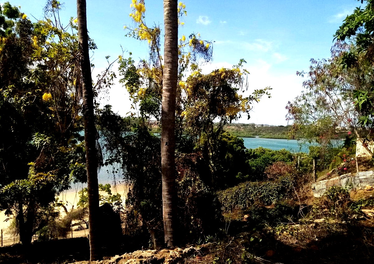 2-Acre Beach Land with Garden