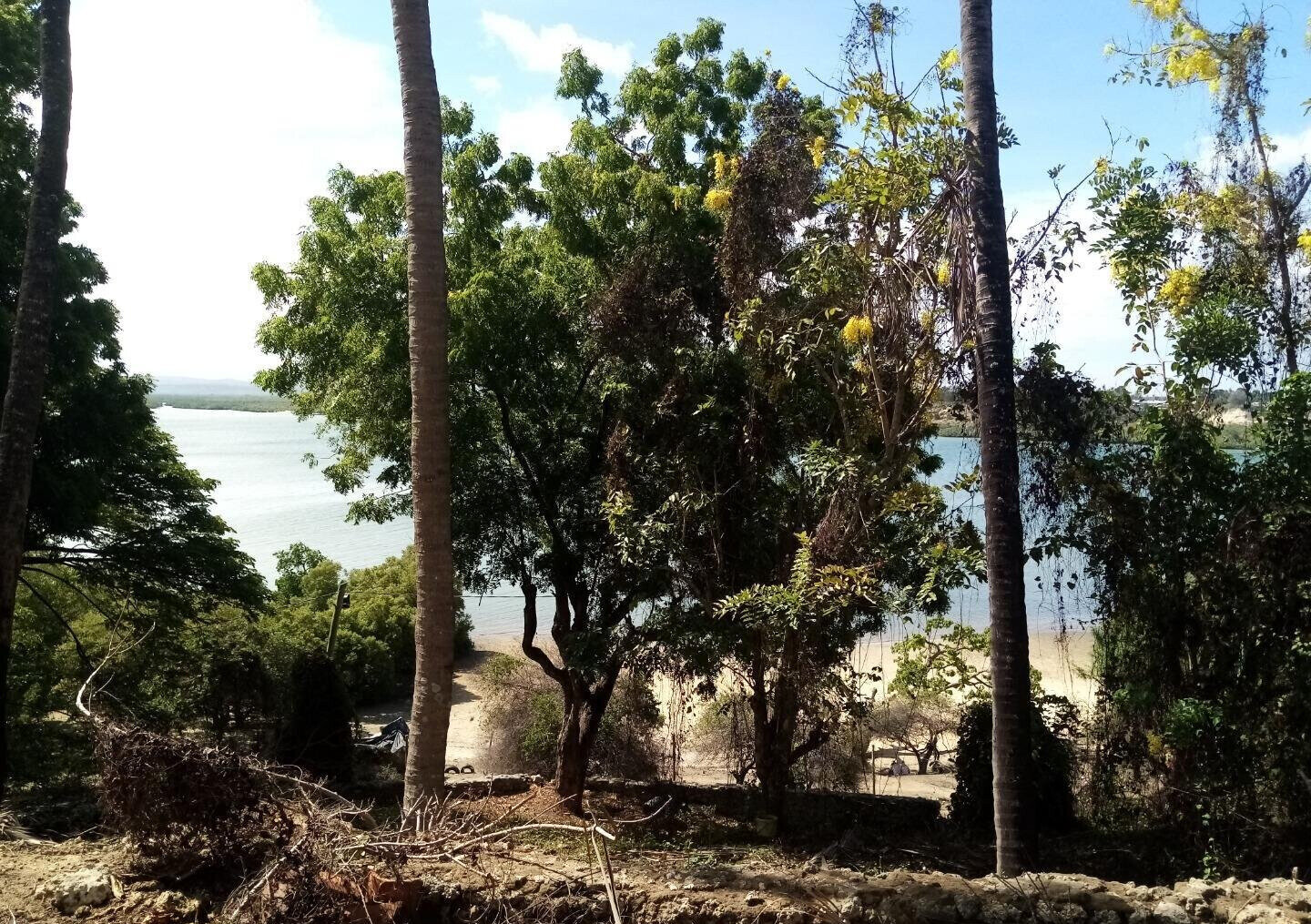 2-Acre Beach Land with Garden