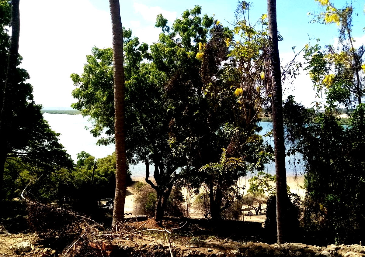 2-Acre Beach Land with Garden