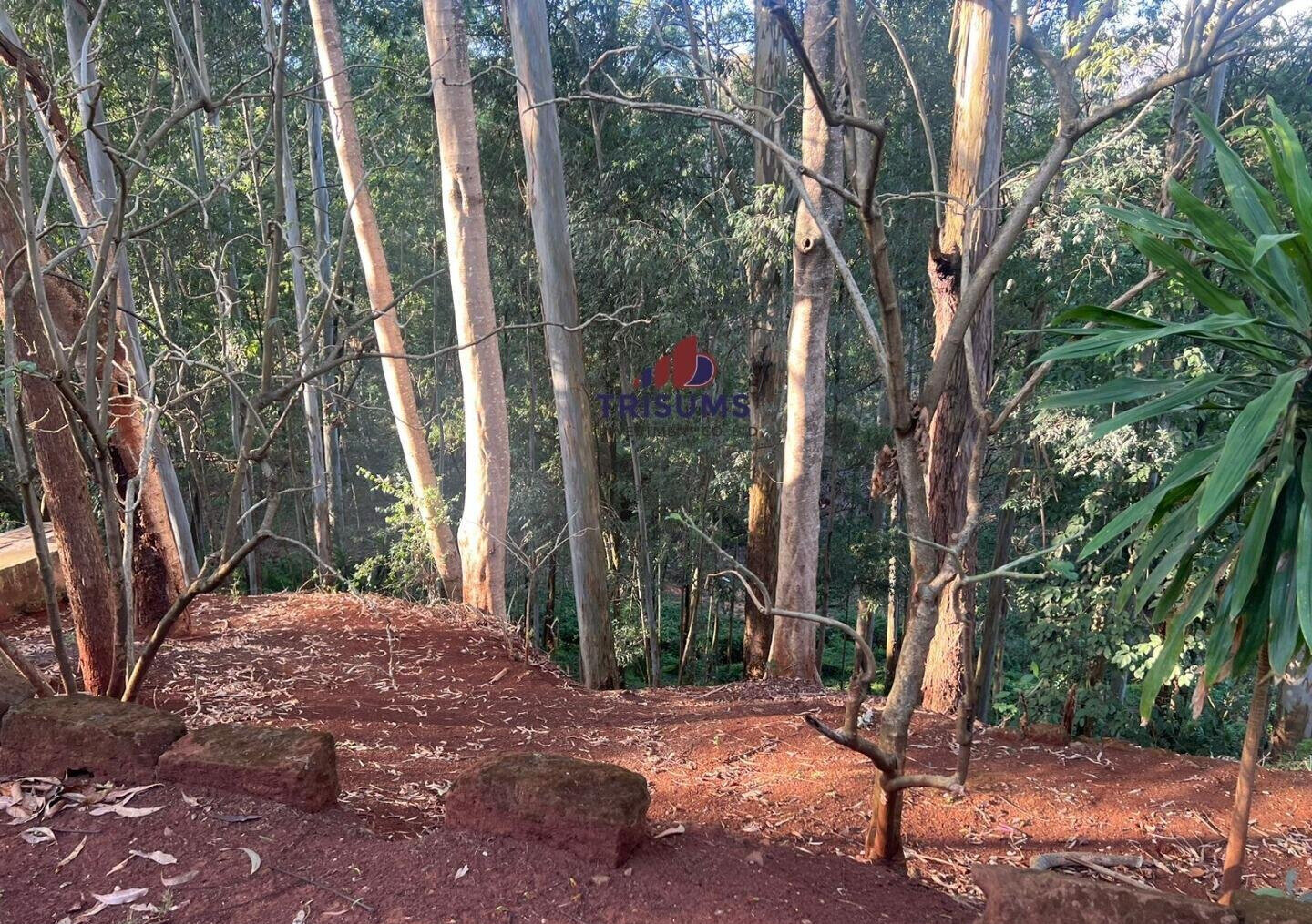 1.2-Acre Spring Valley Plot for KSh 250M