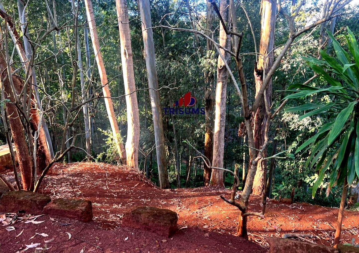 1.2-Acre Spring Valley Plot for KSh 250M