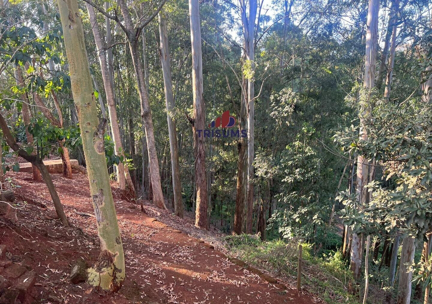 1.2-Acre Spring Valley Plot for KSh 250M