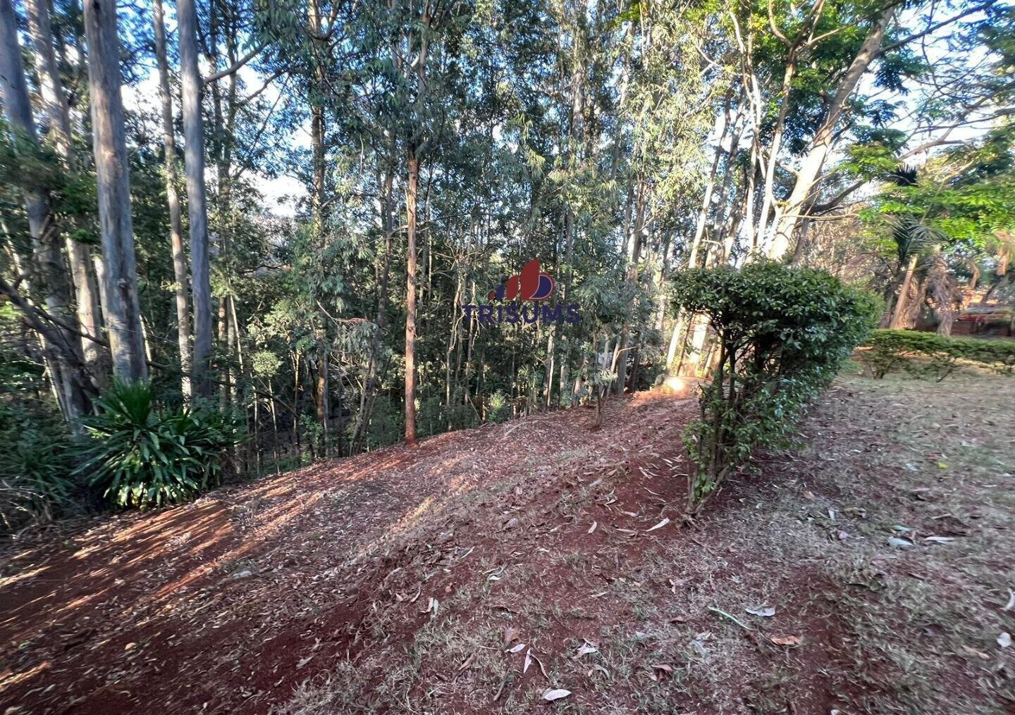 1.2-Acre Spring Valley Plot for KSh 250M