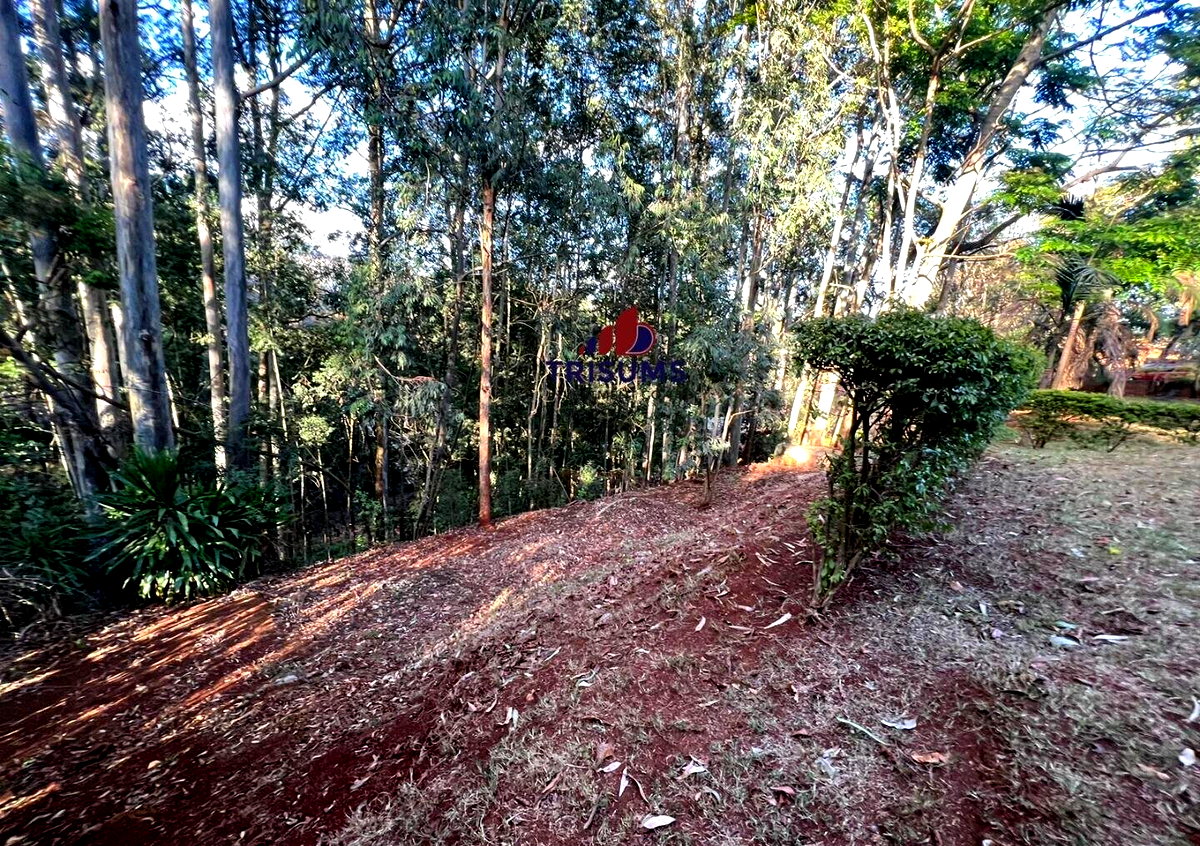 1.2-Acre Spring Valley Plot for KSh 250M
