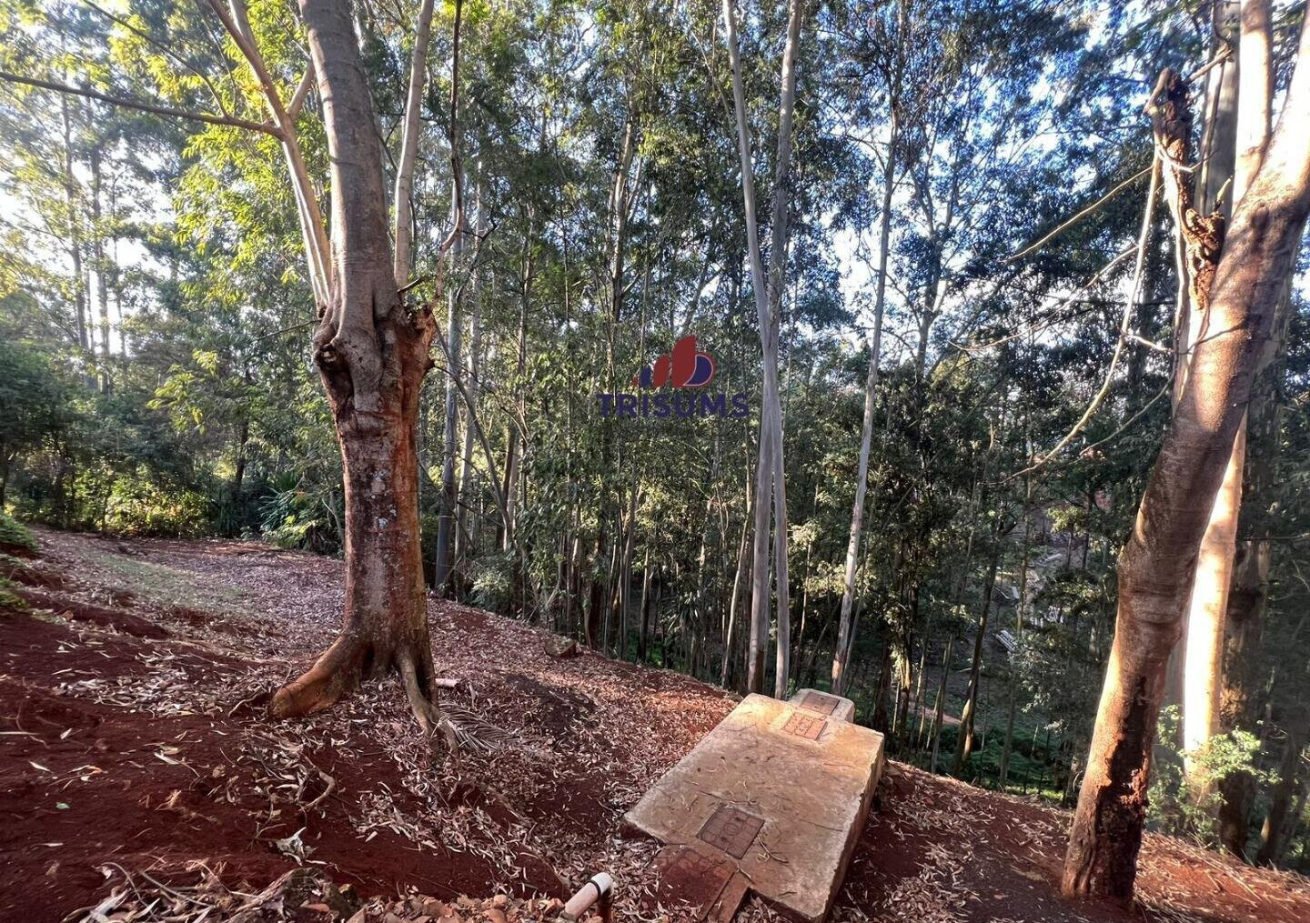 1.2-Acre Spring Valley Plot for KSh 250M