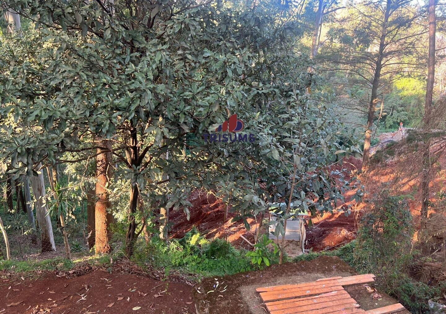 1.2-Acre Spring Valley Plot for KSh 250M