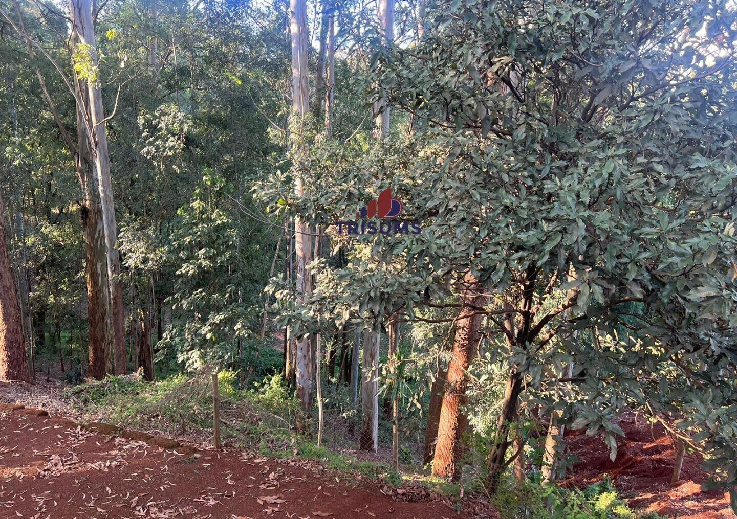1.2-Acre Spring Valley Plot for KSh 250M