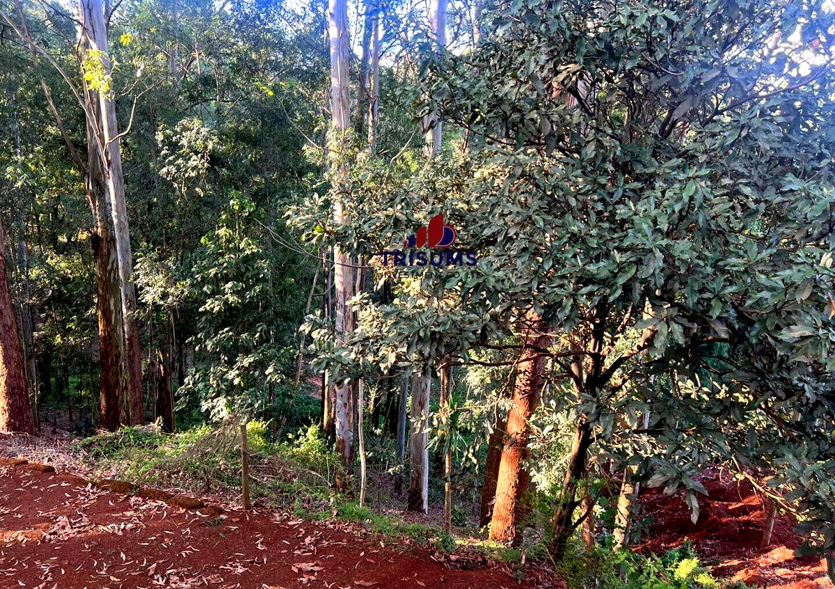1.2-Acre Spring Valley Plot for KSh 250M