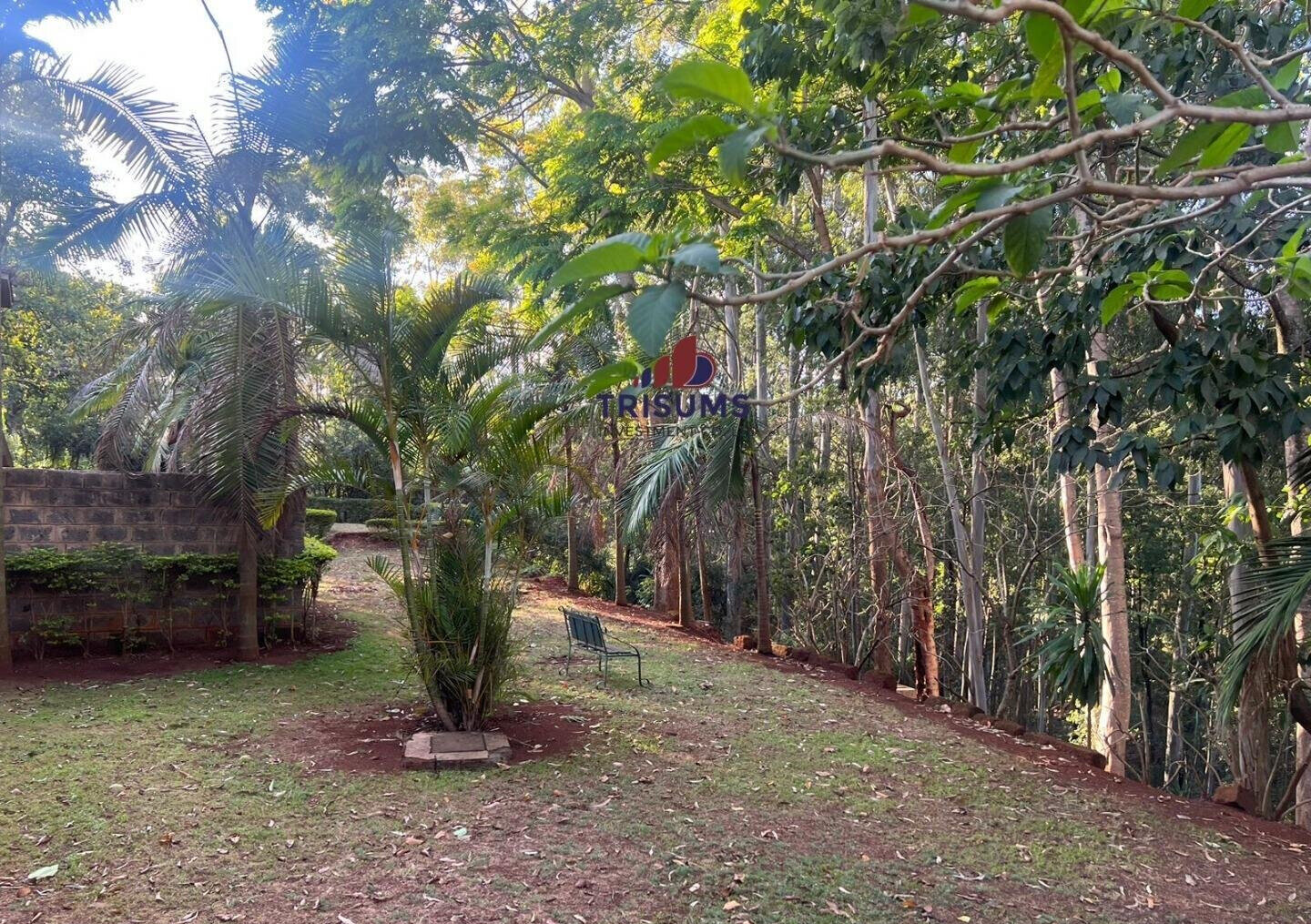 1.2-Acre Spring Valley Plot for KSh 250M