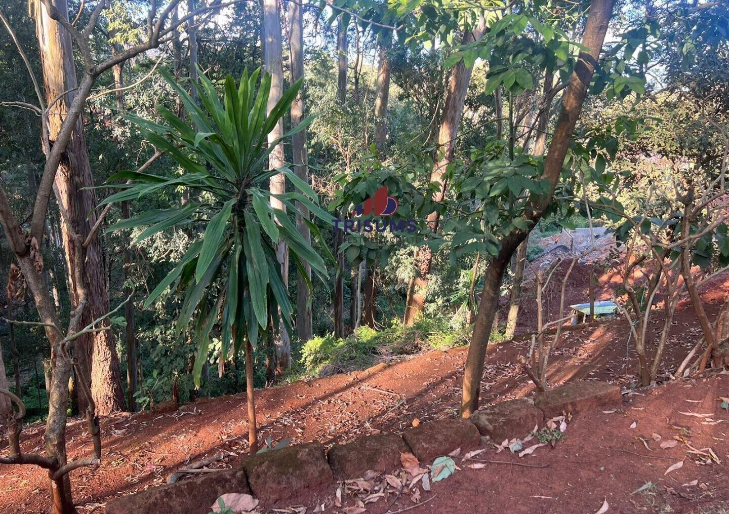 1.2-Acre Spring Valley Plot for KSh 250M