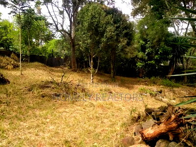 Large Residential Eighth Acre Red Soil Plot in Ngong Bondeni - Image 1