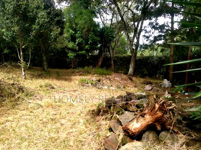 Large Residential Eighth Acre Red Soil Plot in Ngong Bondeni - Image 2