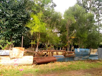 Large Residential Eighth Acre Red Soil Plot in Ngong Bondeni - Image 3