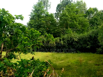 Eighth Acre Corner Plot for Sale in Ngong, Bondeni Red Soil - Image 1