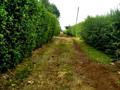 Eighth Acre Corner Plot for Sale in Ngong, Bondeni Red Soil - Image 4