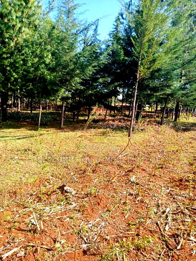 One Acre Land Kiplombe Ideal for Residential - Image 1