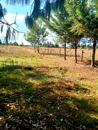 One Acre Land Kiplombe Ideal for Residential - Image 2