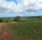 Half Acre Plot with Garden & Parking at KSh 1.25M