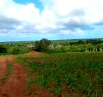 Half Acre Plot with Garden & Parking at KSh 1.25M