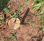 Half Acre Plot with Garden & Parking at KSh 1.25M