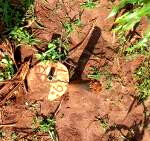 Half Acre Plot with Garden & Parking at KSh 1.25M