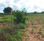 Half Acre Plot with Garden & Parking at KSh 1.25M