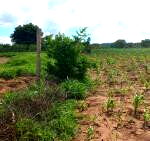 Half Acre Plot with Garden & Parking at KSh 1.25M