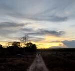 Half Acre Plot with Garden & Parking at KSh 1.25M