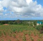 Half Acre Plot with Garden & Parking at KSh 1.25M