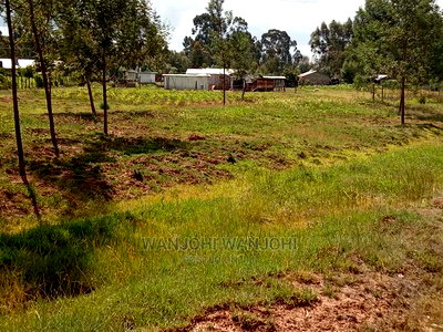 Grab a Prime Plot in Nyandarua - Image 4